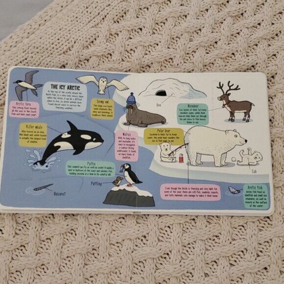 New "Little Explorers: The Animal World" Flap Board Book - Picture 7 of 14